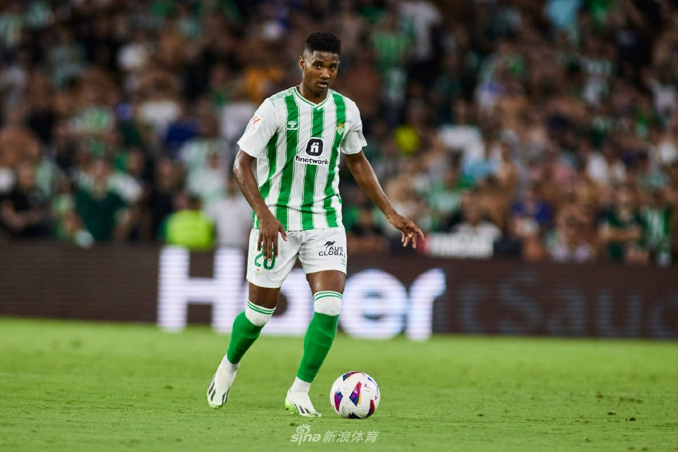 情感回归 情感回归